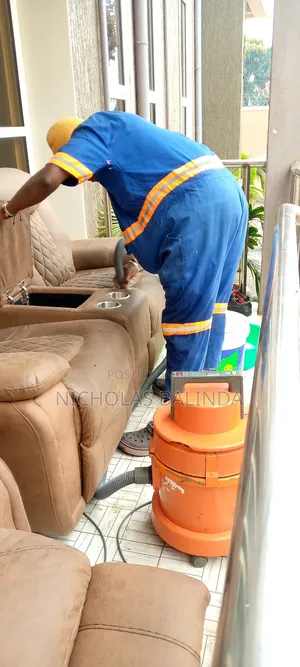 Dedicated Sofa Cleaning in Progress