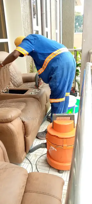 Dedicated Sofa Cleaning in Progress