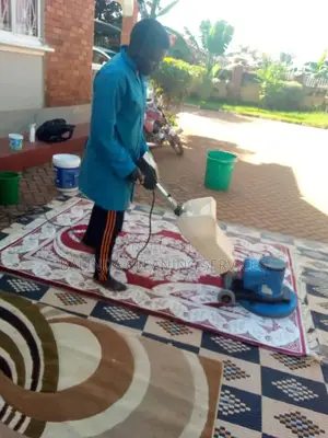Dry Cleaner for Carpet Cleaning