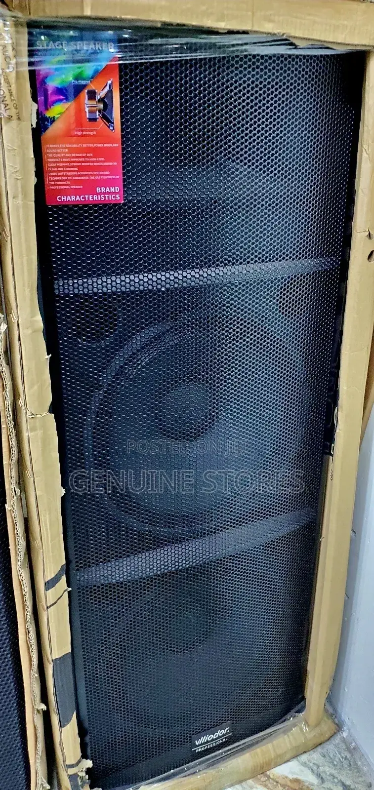 Viliodor Professional Speaker
