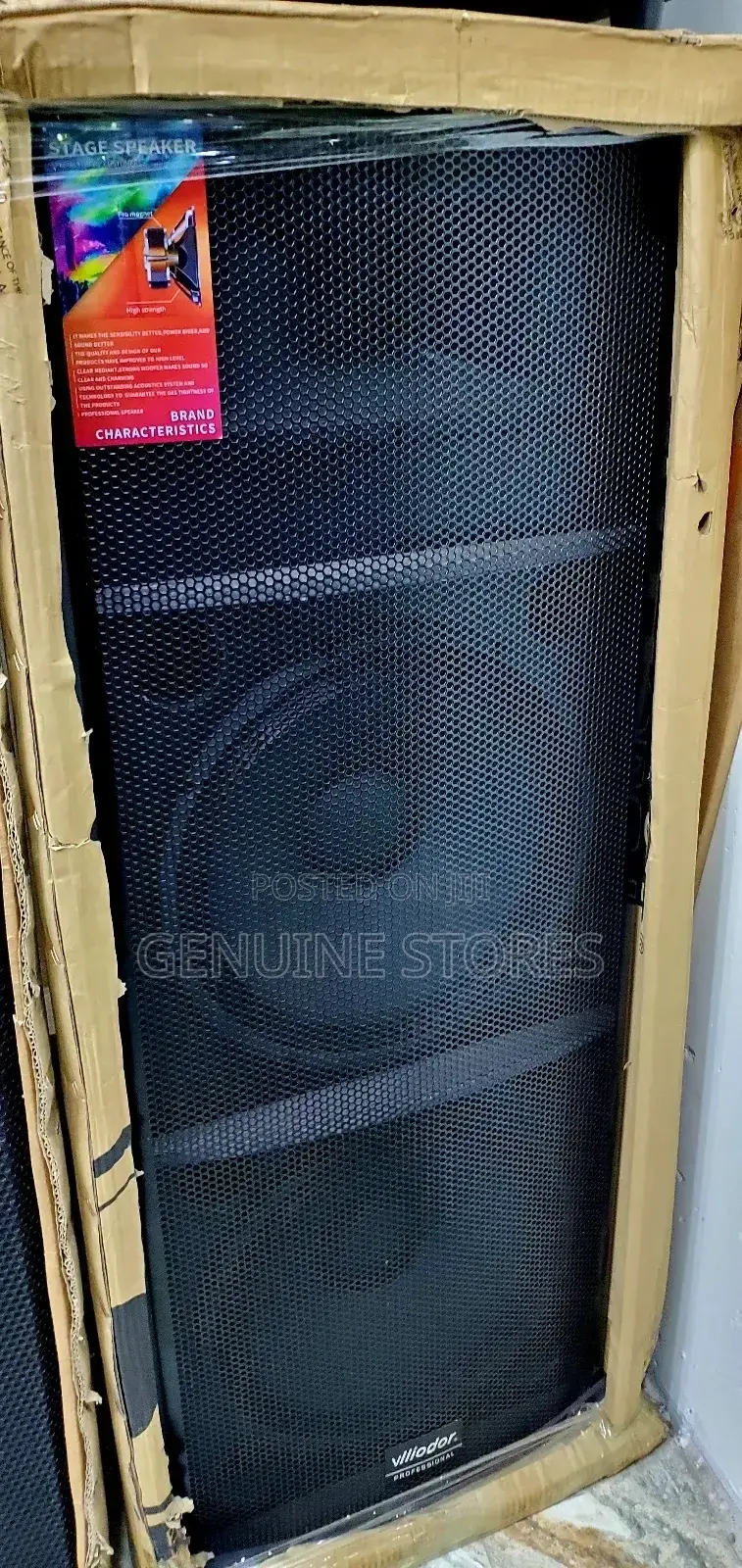 Viliodor Professional Speaker