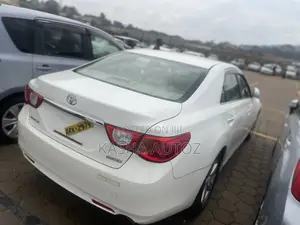 Toyota Mark X 2009 White