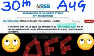 Company Registration Services