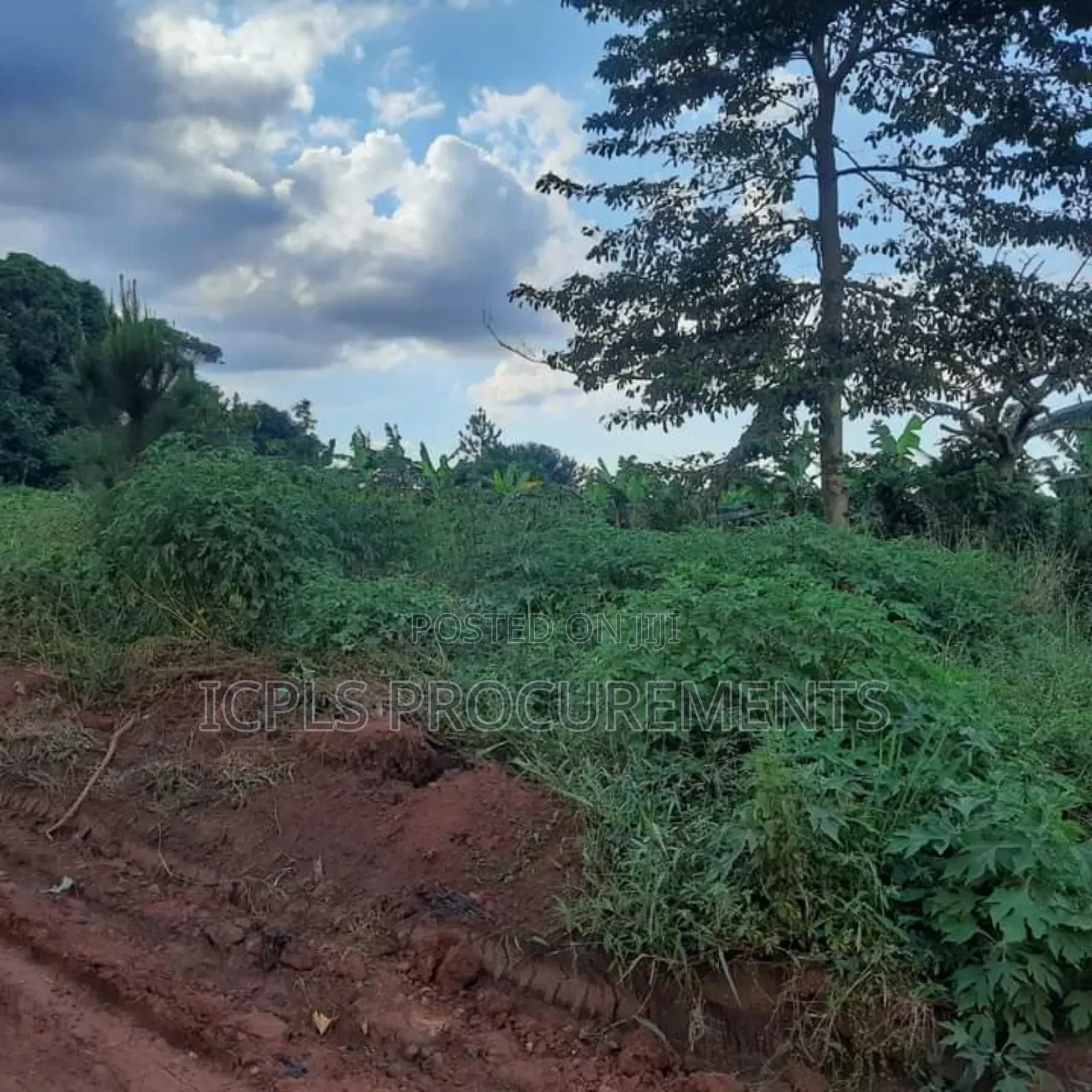 400 ACRES of Land in JINJA