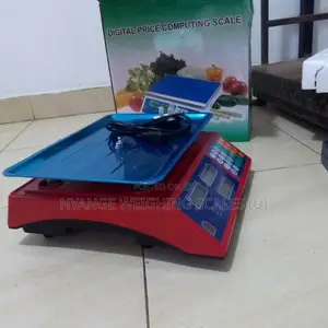 Digital Weighing Scale Shop 30kg Weigh Price Accurate Weighing Scale