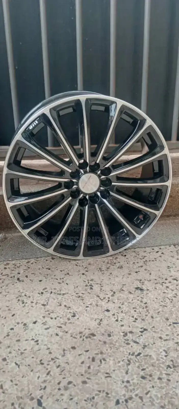 Size 17 Alteza and Others