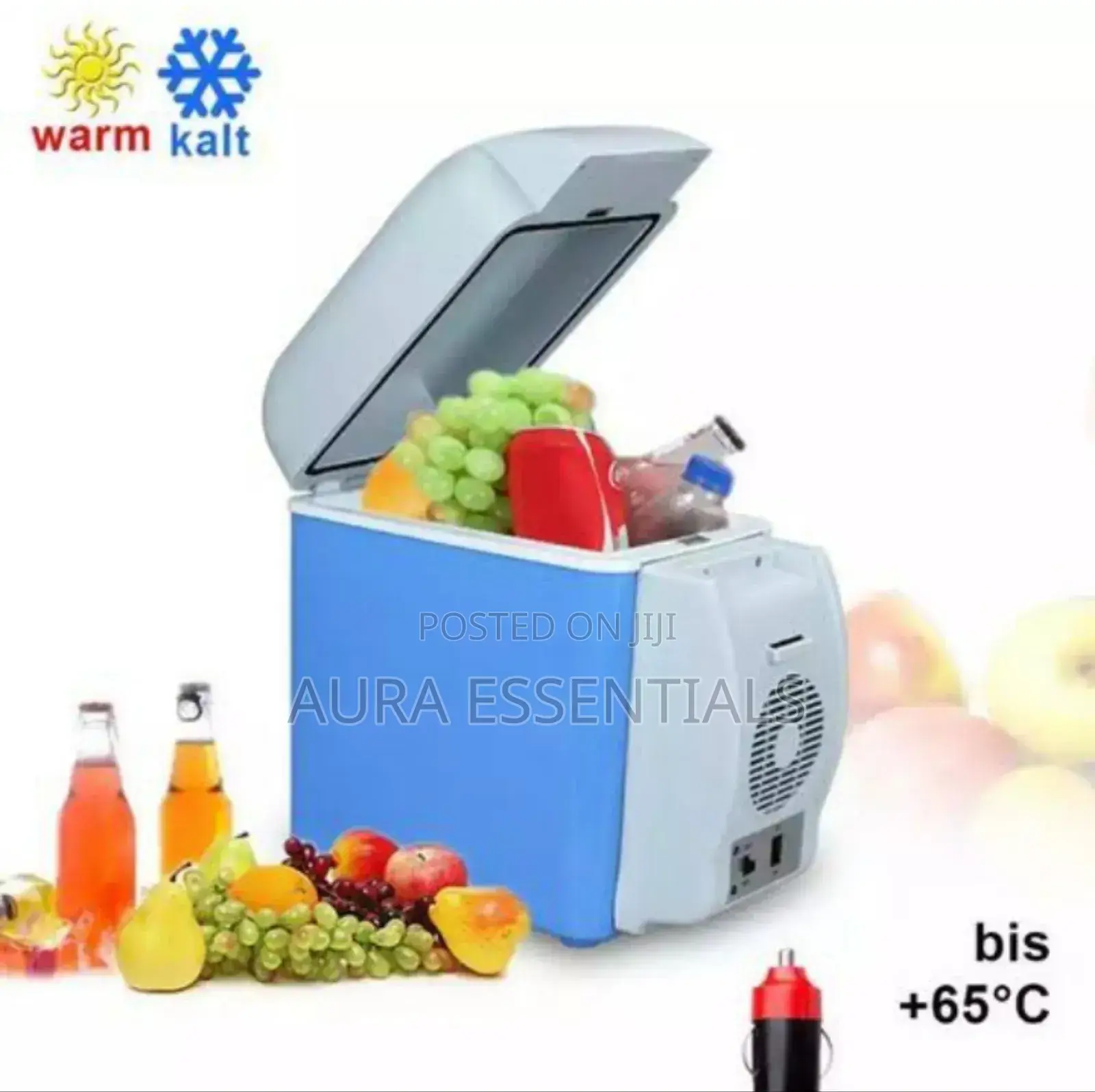 High Quality Portable Car Fridge