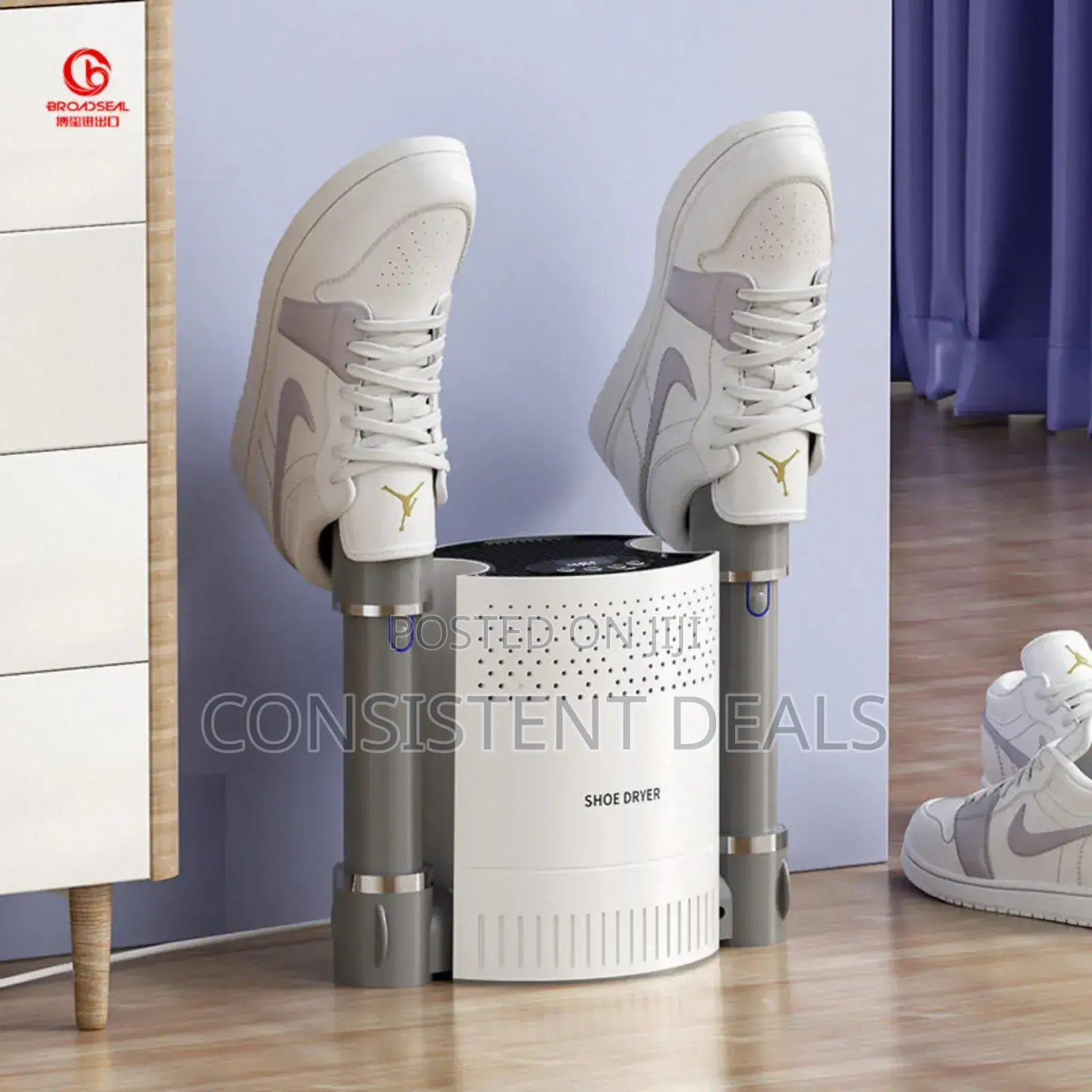 Electronic Multifunctional Shoe Dryer