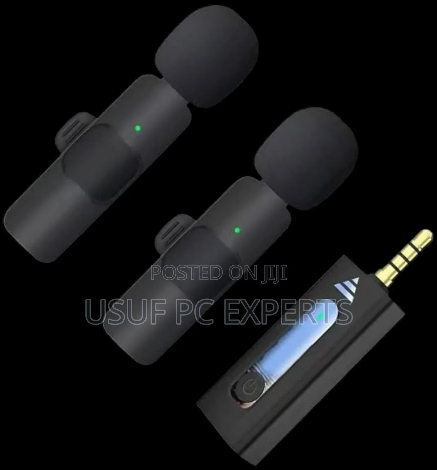 Wireless Microphone Duo Mic