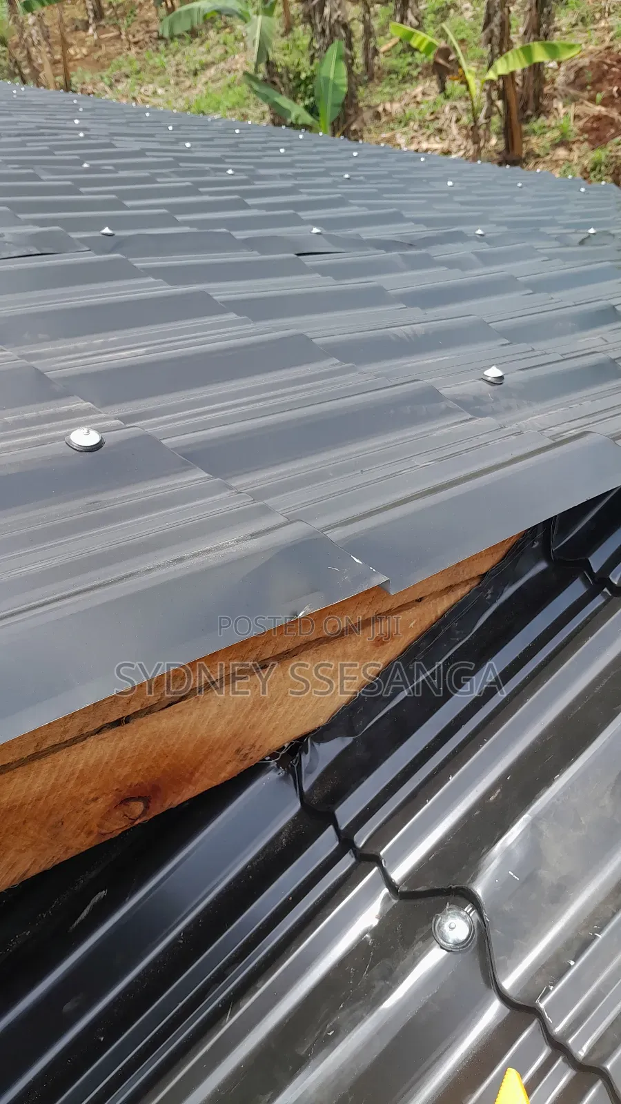 Shed Roof / Franch Cut