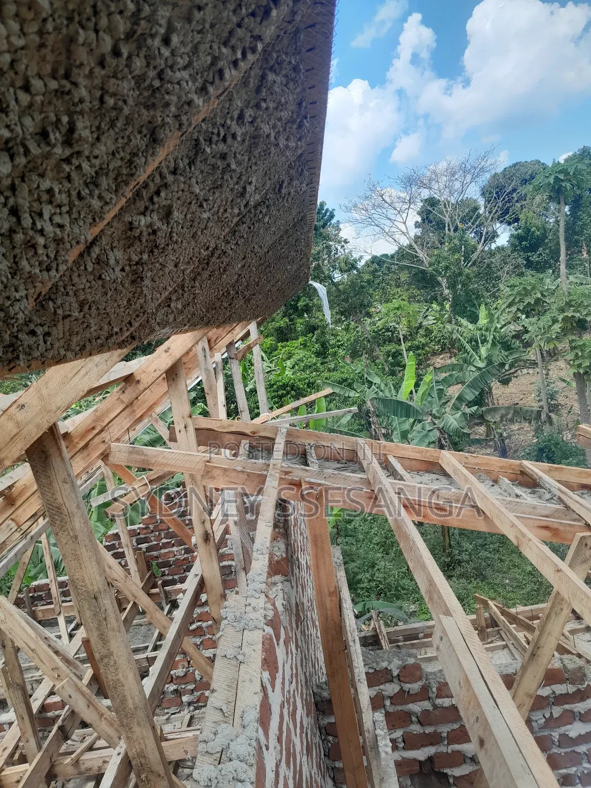 Shed Roof / Franch Cut