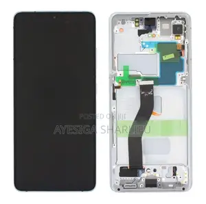 Samsung Galaxy S21 Ultra 5g Screen