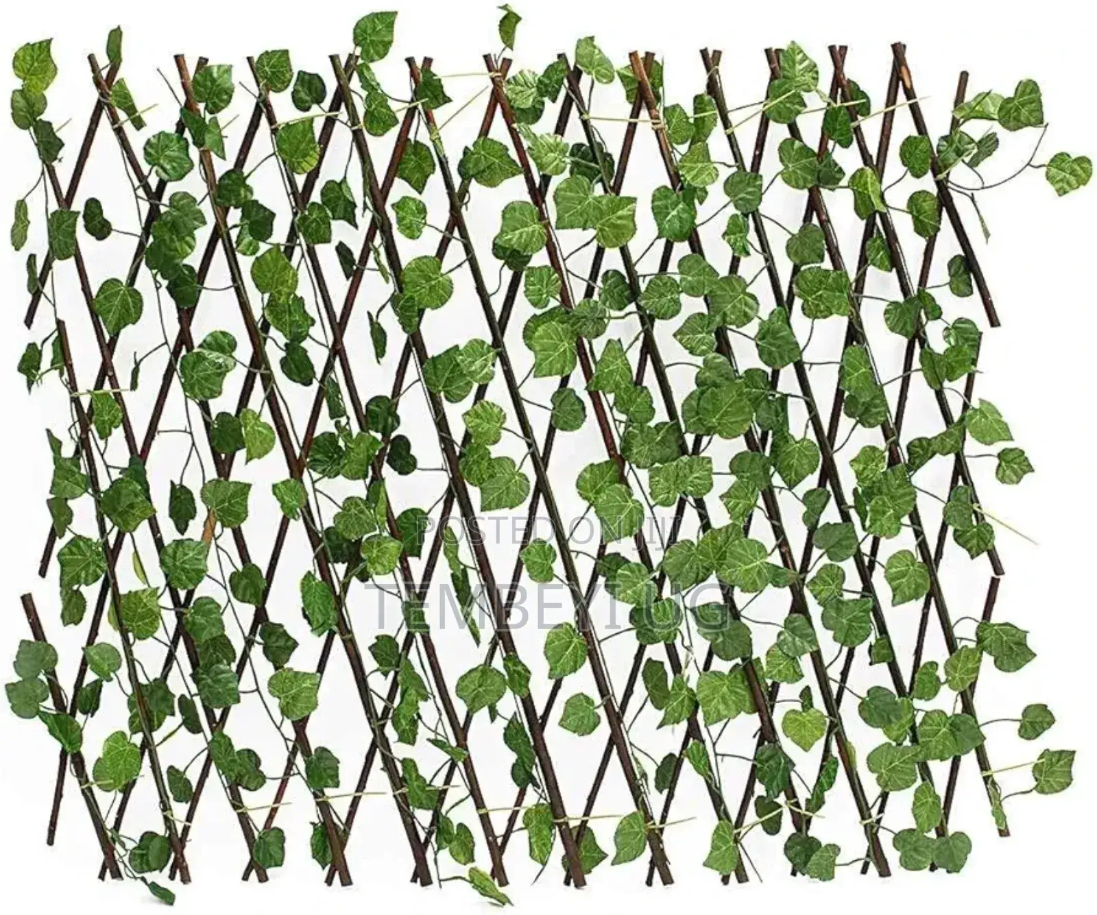 Expandable Tree Fence