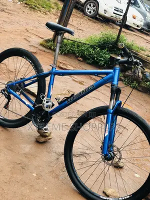 Bicycles/Bike “29” Northrock