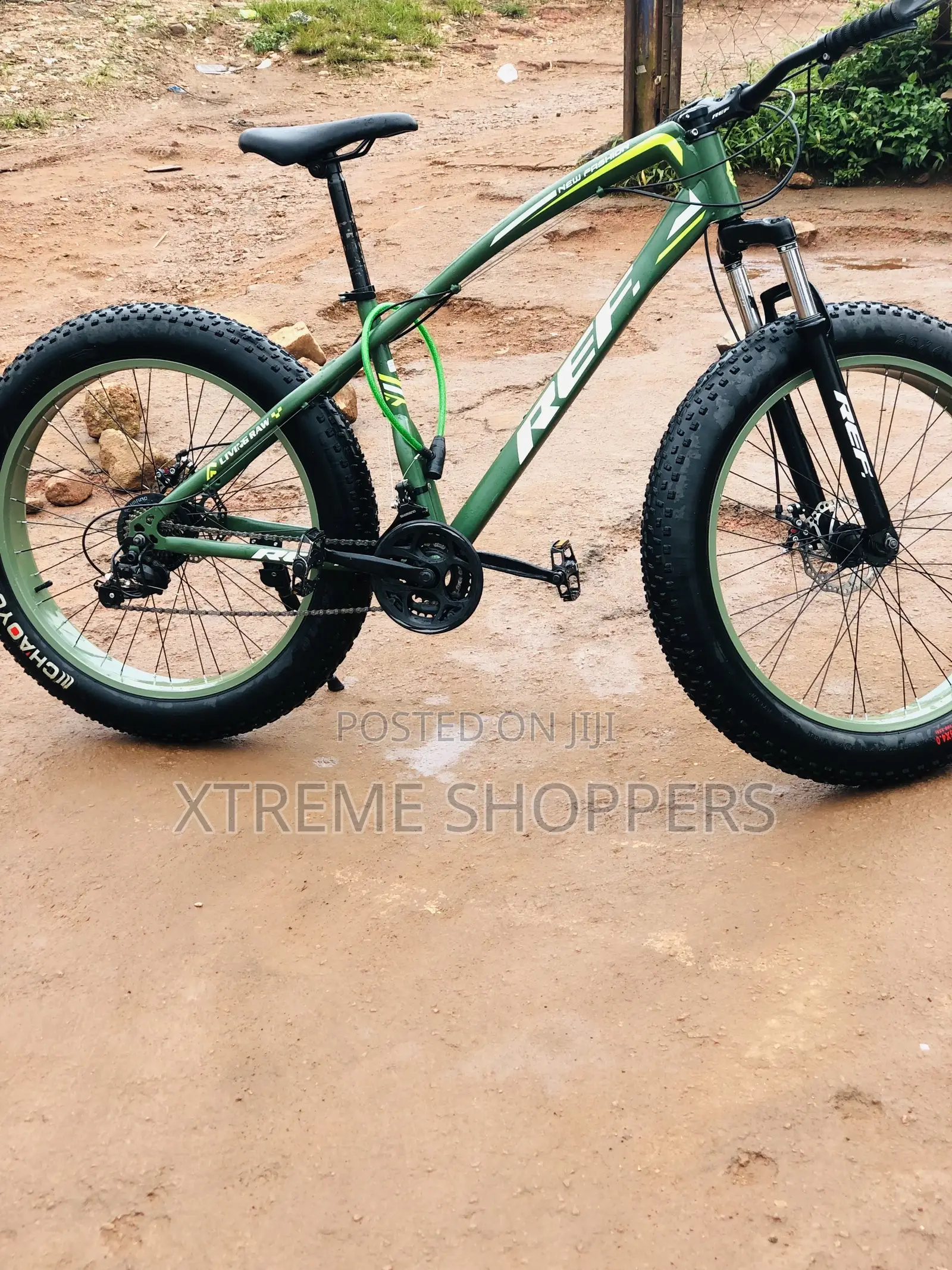 Perfect/Luxury Sport Bike/Bicycle REEF
