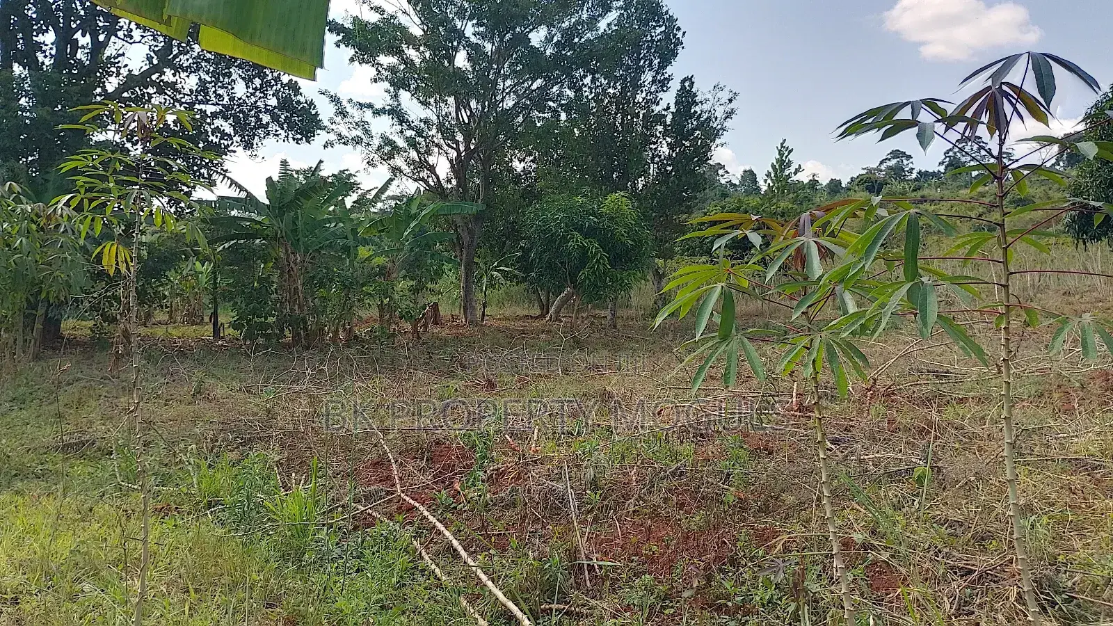 5 Acres for Sale at Butambala Each Acre at 15m