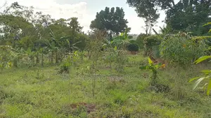5 Acres for Sale at Butambala Each Acre at 15m