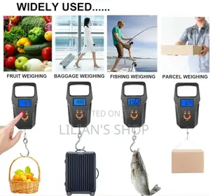 50kg/10g Portable Electronic Digital Travel Scale