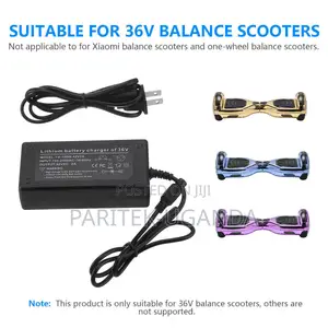 Hoverboard Charger 3 Prong