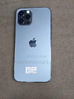 Apple iPhone 12 Pro 256 GB Gray