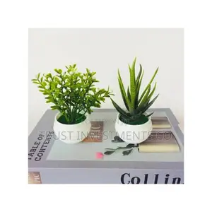 Simulation Potted Plant Artificial Plastic Display Mold