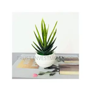 Simulation Potted Plant Artificial Plastic Display Mold