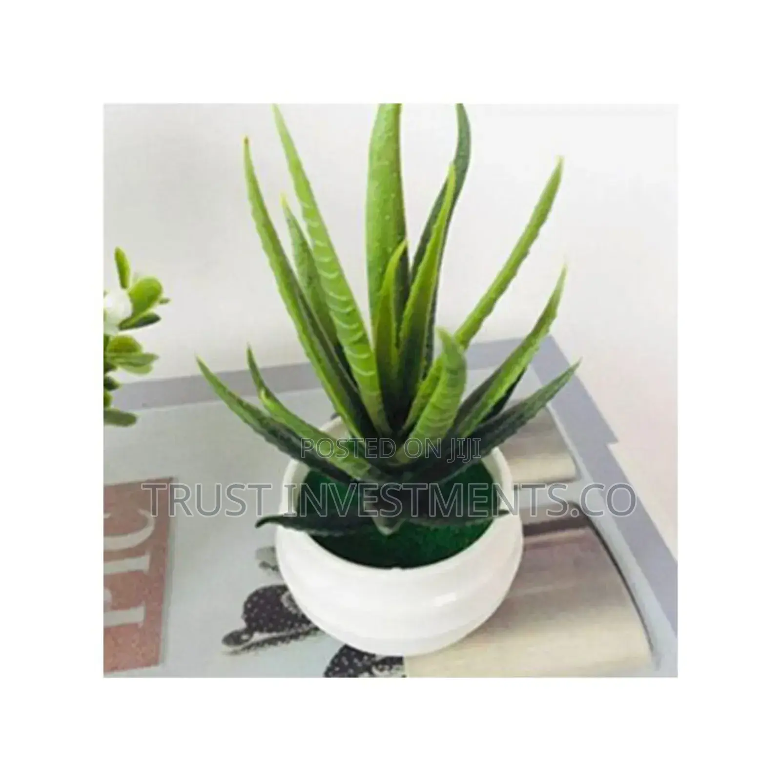 Simulation Potted Plant Artificial Plastic Display Mold