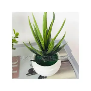 Simulation Potted Plant Artificial Plastic Display Mold