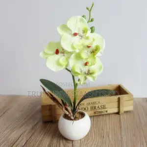 Photo - Artificial Flower Bonsai Orchid Bonsai Artificial