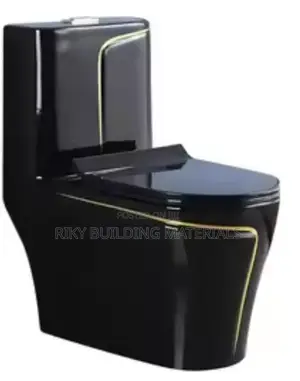 Toilet Black