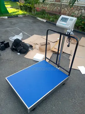 Stainless Steal Weighing Scale Heavy Duty Platform Scale A12 500kg