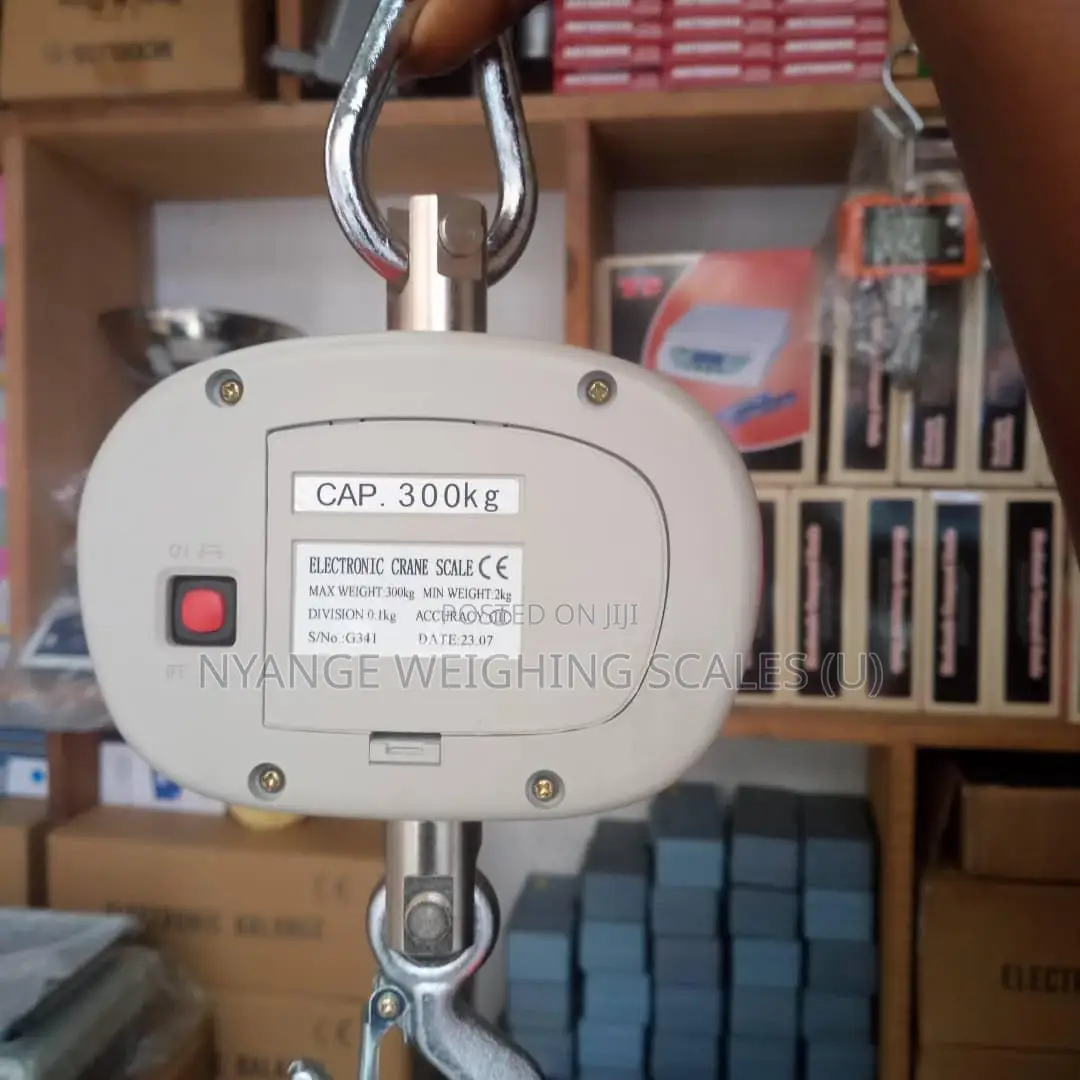 Hanging Weighing Scale Weigh 300kg Accurate Digital Weighing Scale