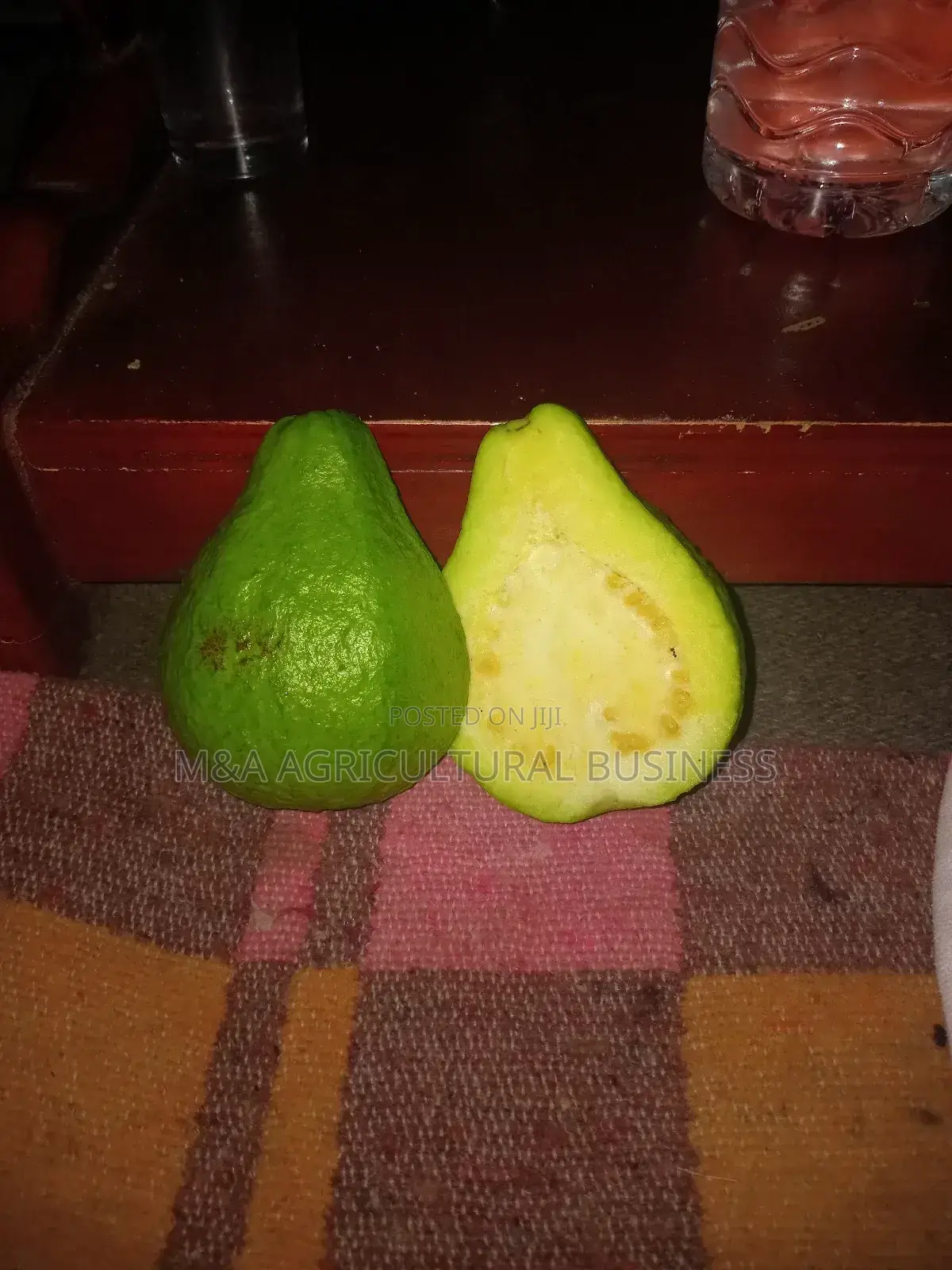 White Indonesian Guava