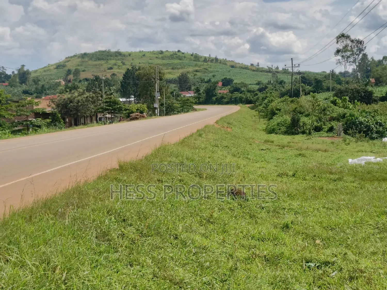 5acres of Top Hill Land on Sale Located in Kyenjojo Town