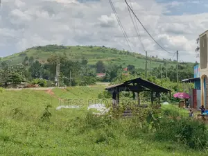 5acres of Top Hill Land on Sale Located in Kyenjojo Town