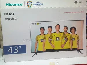 43"Inch Smart Chiq