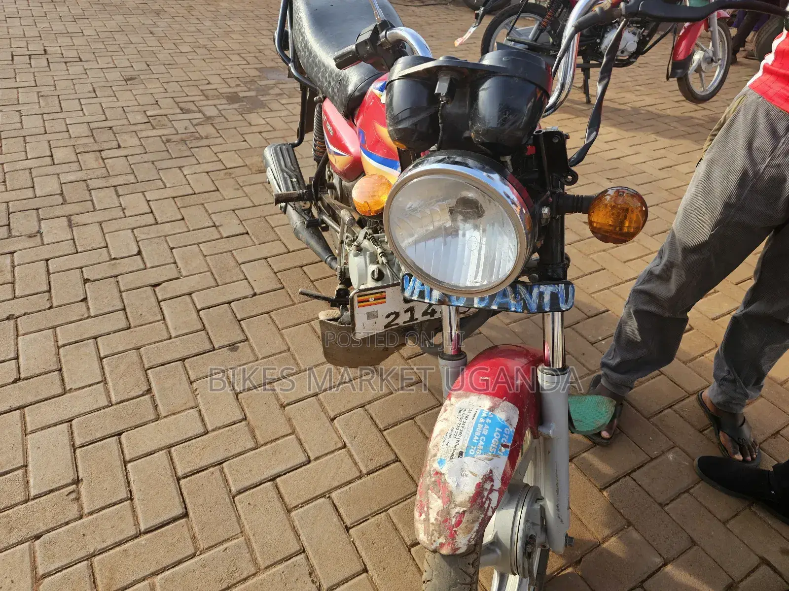 Bajaj CT 110X 2023 Red