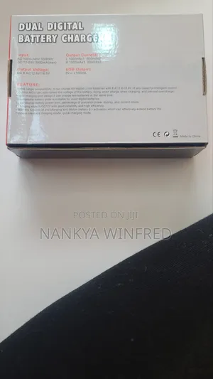 Dual Digital Battery Charger