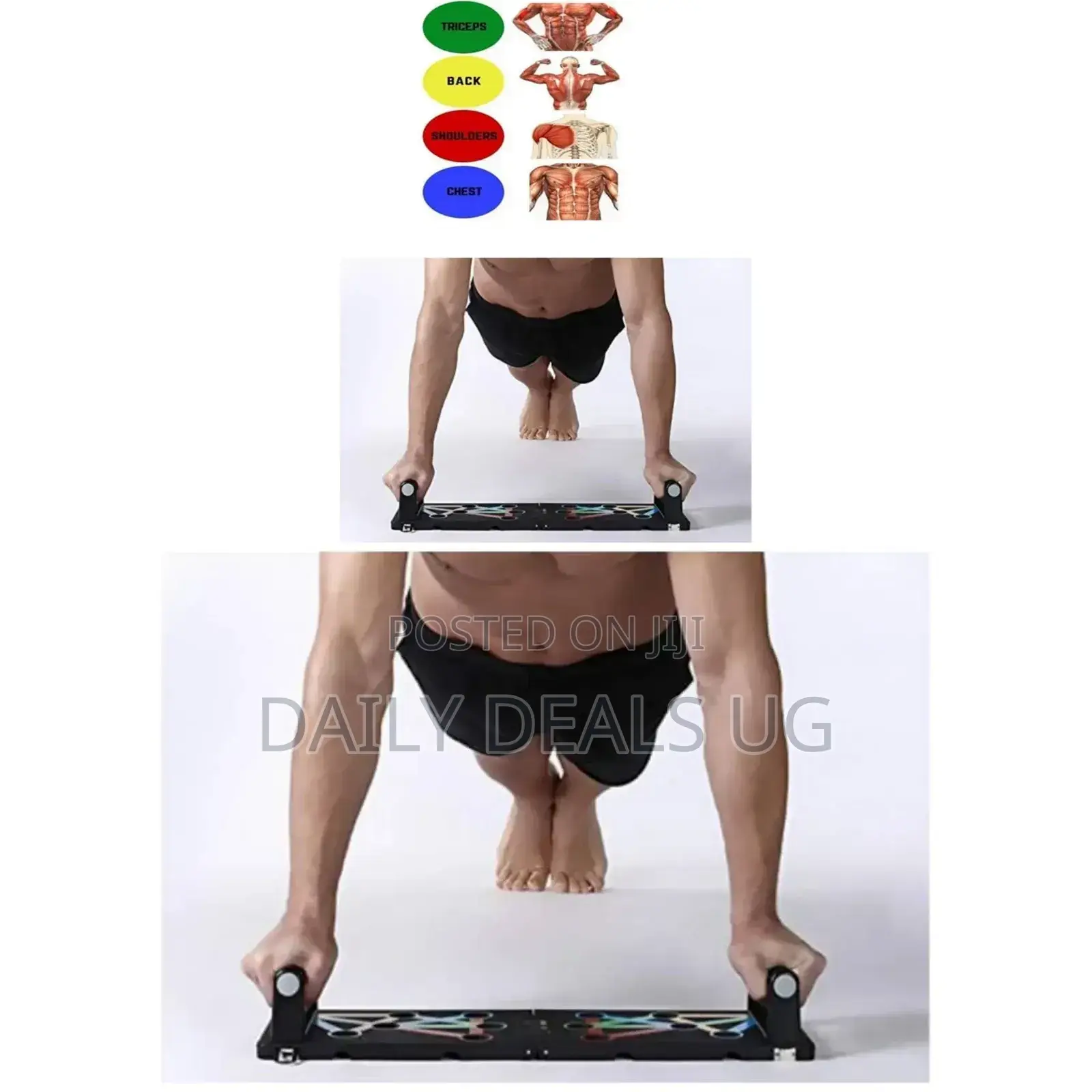 Push Up Board