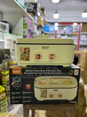 Multifunctional Electric Pot