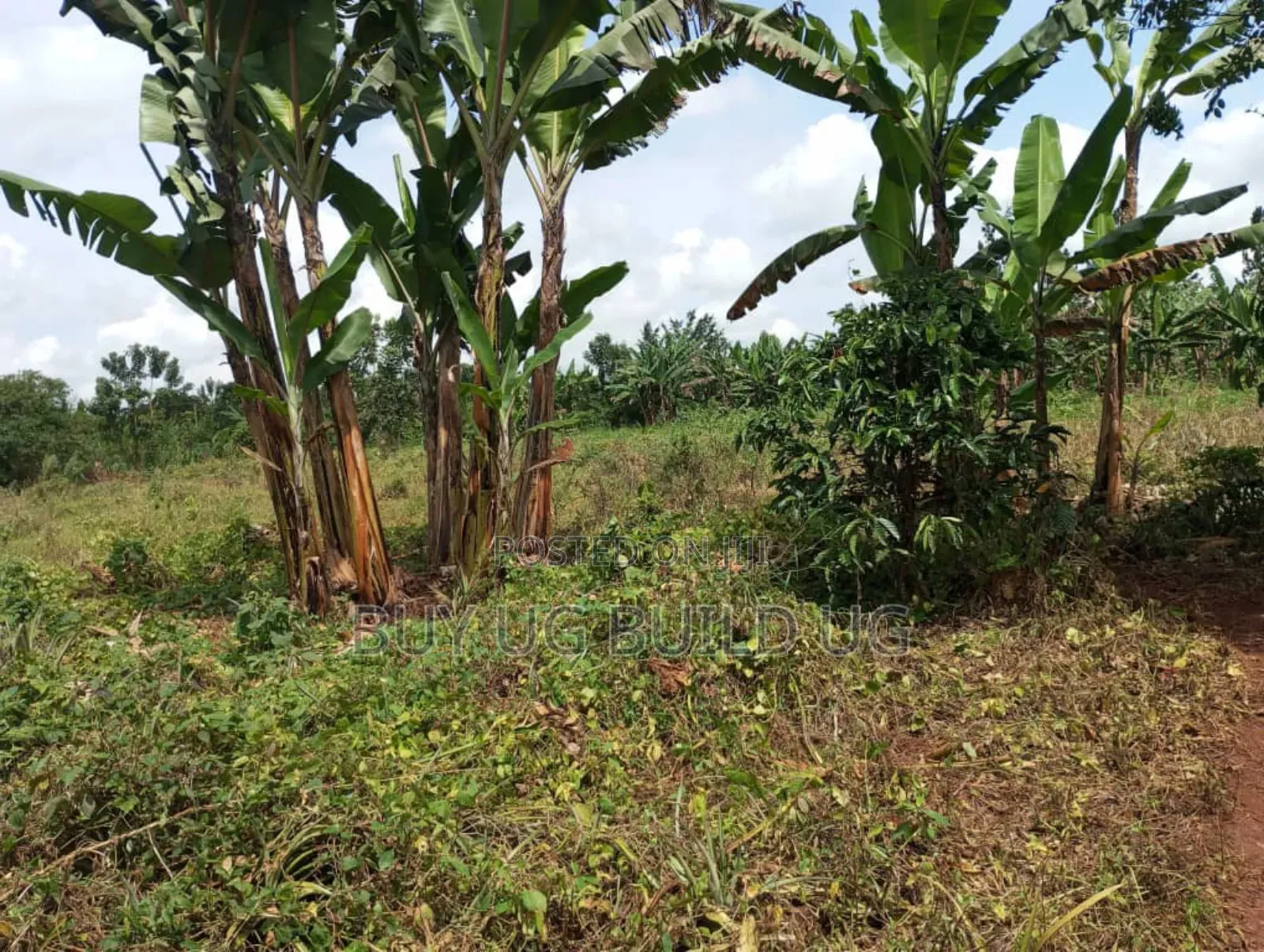Good Deal! 3 Acres of LandKalule- Bombo Rd