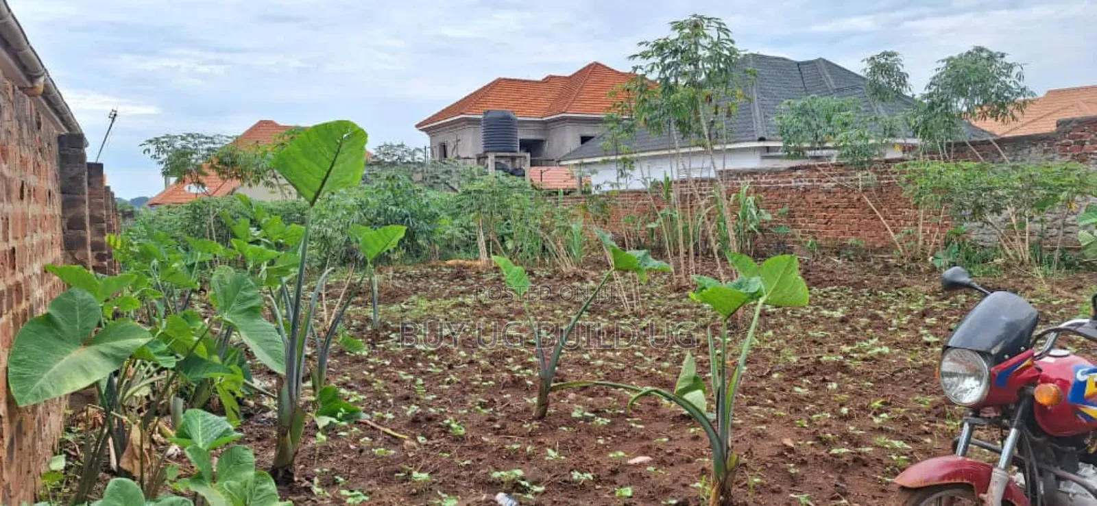 *50x100ft Kira Bulindo Town 300 Meters Off Tarmac 100m