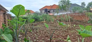 *50x100ft Kira Bulindo Town 300 Meters Off Tarmac 100m