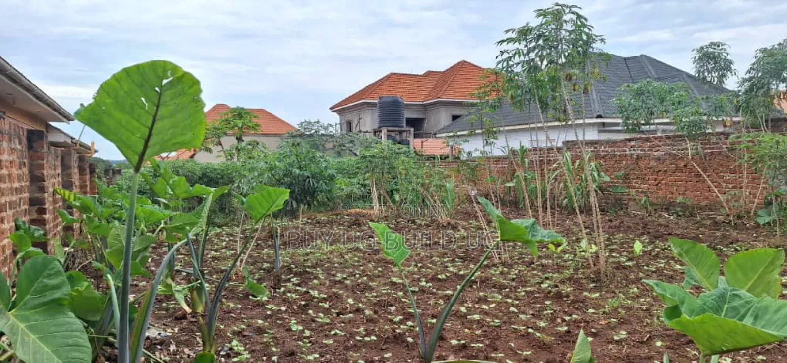 *50x100ft Kira Bulindo Town 300 Meters Off Tarmac 100m