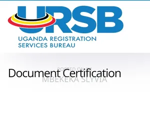 Ngo Renewal