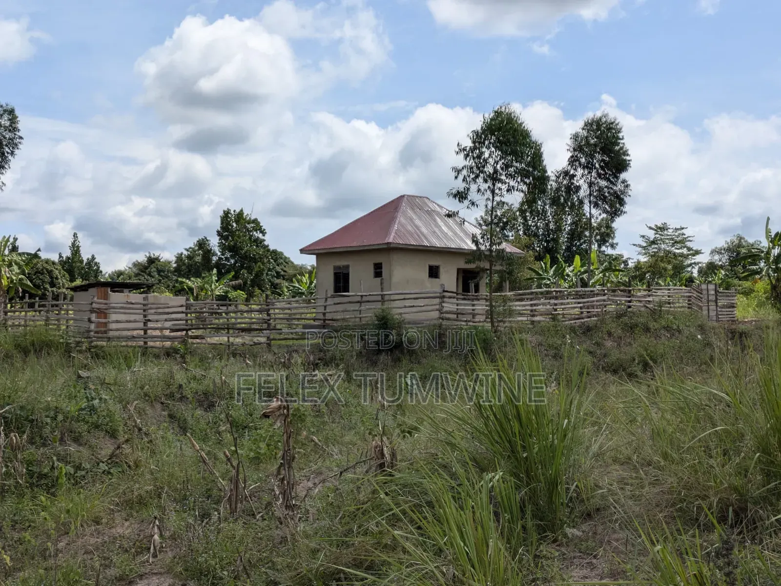 3 Tittled Acres of Land + House