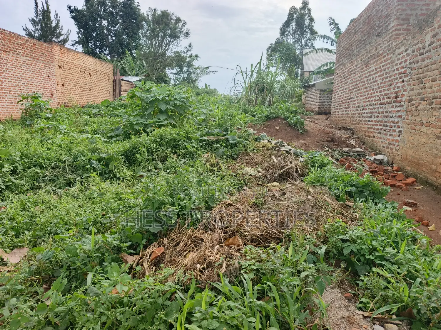 50by150fts Plot on Sale Located in Kyenjojo District-Bugaaki