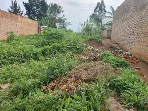 50by150fts Plot on Sale Located in Kyenjojo District-Bugaaki