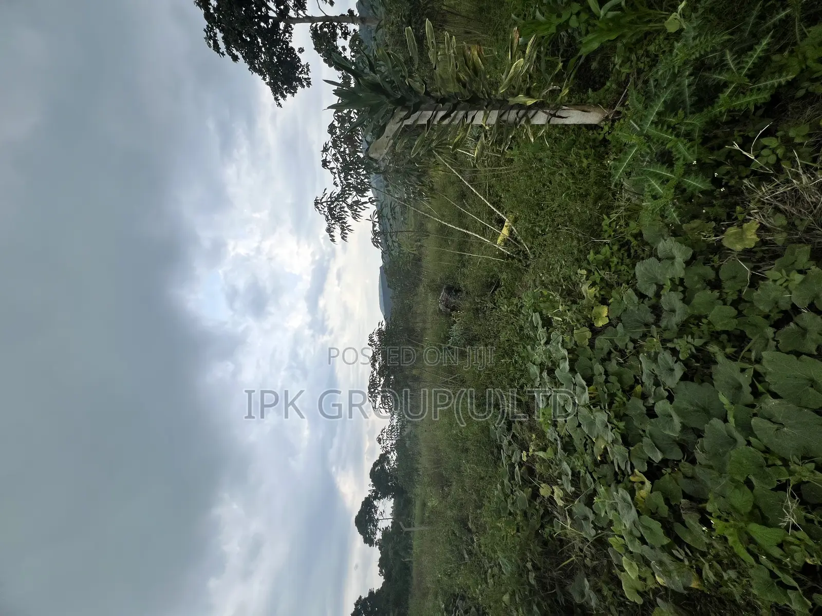 Mpigi Bubuule Titled Land