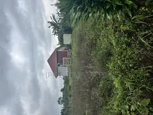 Mpigi Bubuule Titled Land